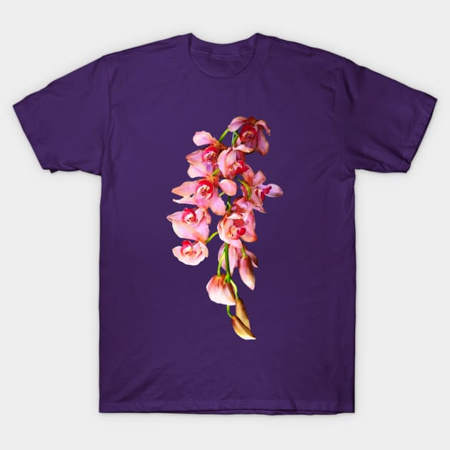 Orchids - Cascade of Pink Orchids T-Shirt by SusanSavad